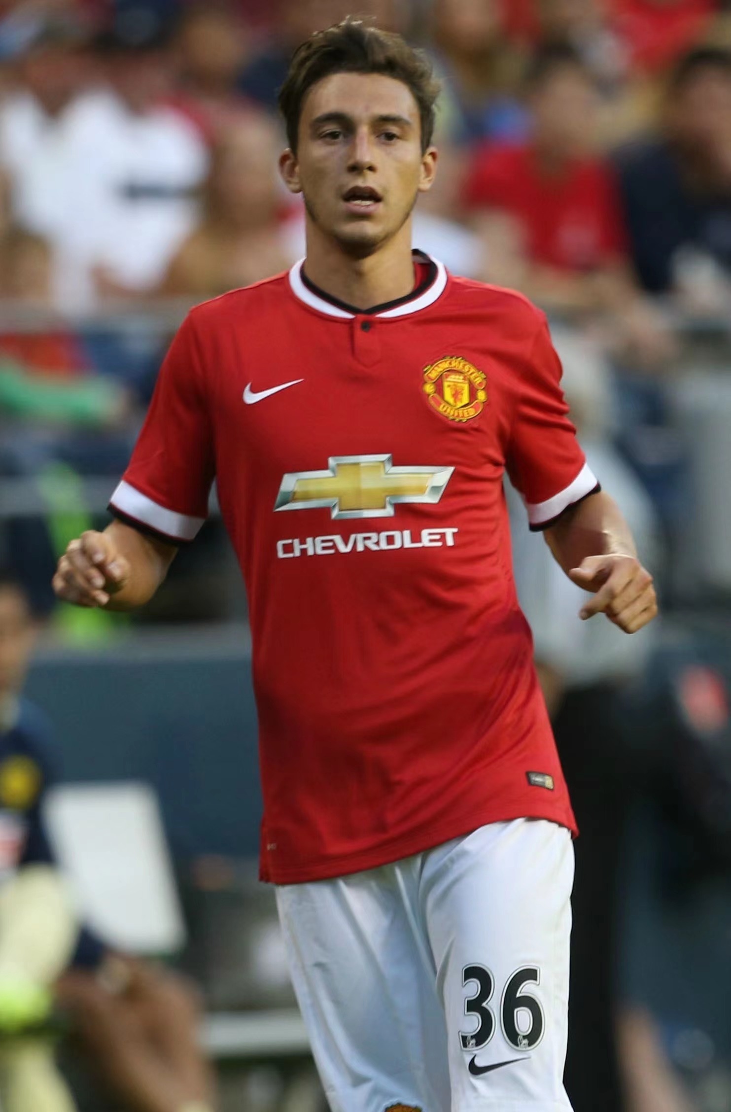 包含国米与马泰奥科基完成续约未公布合同期限的词条  第2张