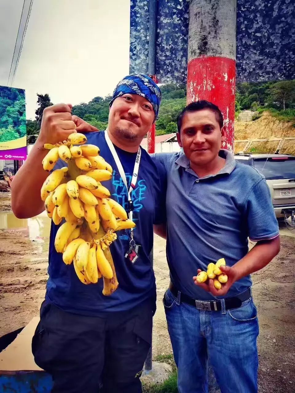 西协丙2组：尼能瑟VS考达尔的简单介绍