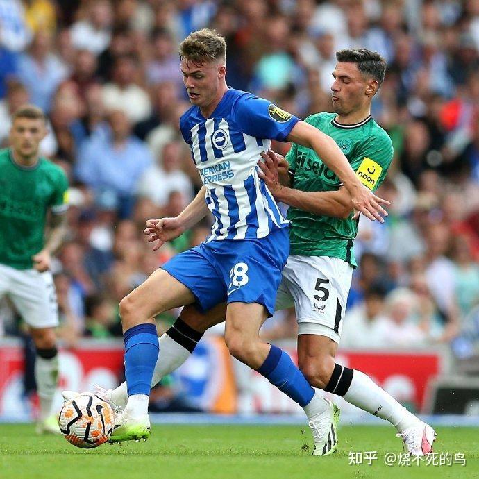 英超布莱顿2-1纽卡斯尔联维尔贝克双响沃尔特马德破门难救主的简单介绍  第2张
