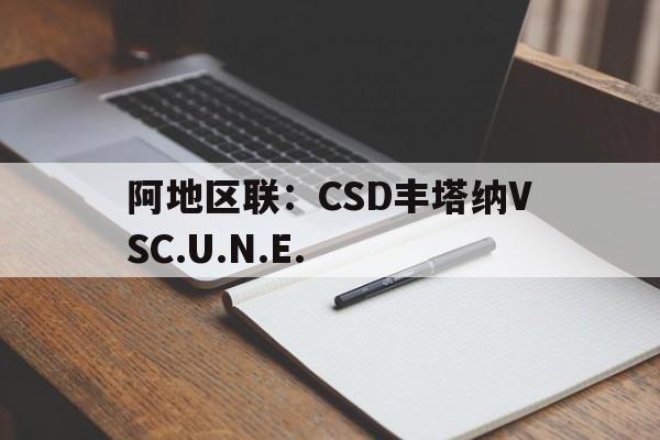 阿地区联：CSD丰塔纳VSC.U.N.E.的简单介绍