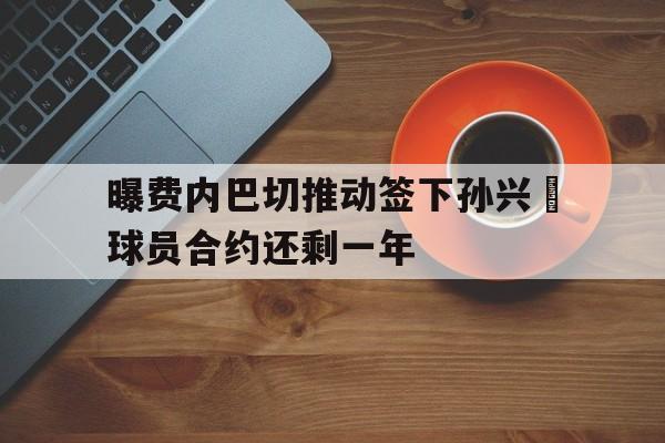 关于曝费内巴切推动签下孙兴慜球员合约还剩一年的信息  第1张