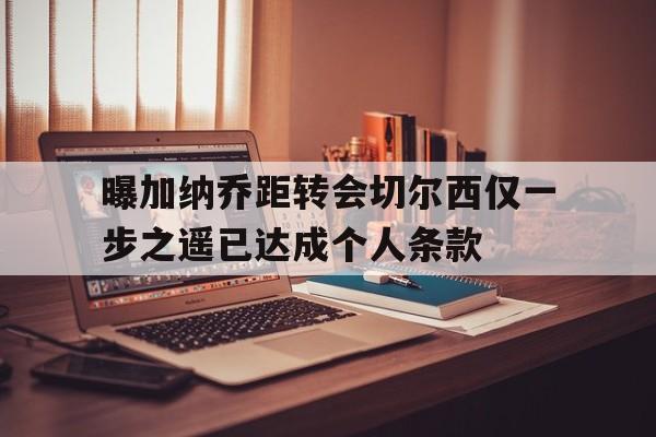 关于曝加纳乔距转会切尔西仅一步之遥已达成个人条款的信息